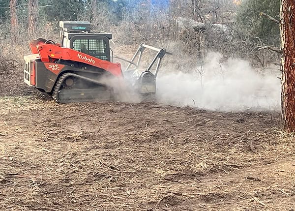 Mastication Understory Clearing